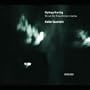 Gy�rgy Kurt�g: Music for String Instruments