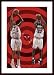 Chicago Bulls, Art Poster