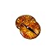 10mm Golden Dragon Eyes Glass Cabochons for Doll Sculptures or Jewelry Making