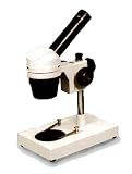 Electronics : GX Microscopes XSJ-20A Monocular Student Microscope, Pillar Stand