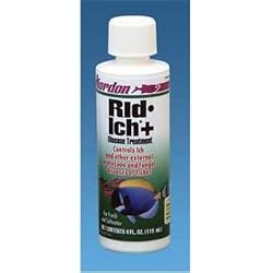 Kordon Rid Ich Disease Treatment - 16 oz