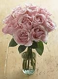 One Dozen Sweet & Lovely Bouquet