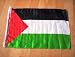 Palestine Flag ca 30 x 45 cm