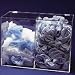 DISPENSER DUAL COMPARTMENT - Dual-Compartment Dispenser, AK - Model 32799-016 - Each