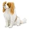 Melissa & Doug Cavalier King Charles Spaniel - Plush