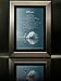 Swan Song Ascension Poem Framed Print By Colleen Hitchcock