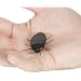 Fake Cockroach