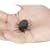 Fake Cockroach