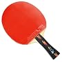 DHS Table Tennis Racket #TS4002, Ping Pong Paddle, Table Tennis Racquets - Shakehand