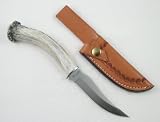 Silver Stag Deer Skinner Fixed Blade Hunting Knife