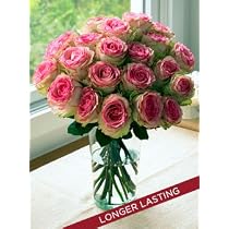 Two Dozen Crown Majesty Roses
