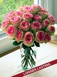 Two Dozen Crown Majesty Roses, Eco-Friendly - Pink and Cream Rose Bouquet