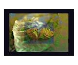 Autumn Motives and Colors Botanical Photographic Poster Print by Abissmal, 10x8