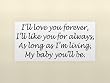 I'LL LOVE YOU FOREVER, I'LL LIKE YOU FOR ALWAYS, AS LONG AS I'M LIVING, MY BABY YOU'LL BE Vinyl wall quotes love sayings home art decor decal