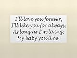 I'LL LOVE YOU FOREVER, I'LL LIKE YOU FOR ALWAYS, AS LONG AS I'M LIVING, MY BABY YOU'LL BE Vinyl wall quotes love sayings home art decor decal