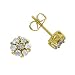 FOJO's Diamond in 18K Gold Over Sterling Silver Fantasy Earrings (1/4 ct. tw.)