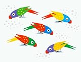 Five Parrots Pecking Birdseed - 18W x 14H - Peel and Stick Wall Decal by Wallmonkeys