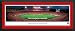 Georgia Bulldogs - Sanford Stadium - Framed Panoramic Photo