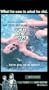 What the Peeper Saw [VHS]