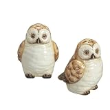 Wise Old Hoot Owls Salt & Pepper Shakers Set S/P