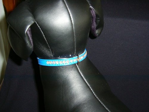 Beverly Vinyl Dog Collar 10in Blue 462P