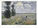 Les Coquelicots, Environs D'argenteuil by Claude Monet - Fine Art Print / Poster - 31...
