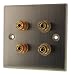 Fisual Stainless Steel Speaker Wall Plate - Dual / Bi-wire