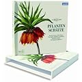 Pflanzensch�tze: Aus der Ferne in den Garten. Von leidenschaftlichen Sammlern, fernen L�ndern und exotischen Pflanzen