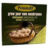 Organic White Mushroom Growing Kit