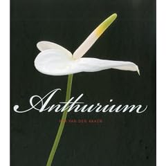 Anthurium