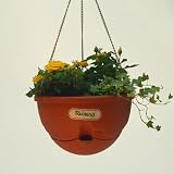 Anthea Self-Watering Hanging Basket