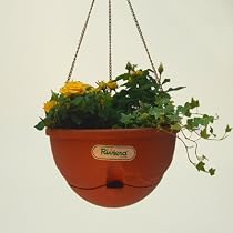 Anthea Self-Watering Hanging Basket