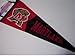 University of Maryland Terrapins Pennant,terp & Maryland,12