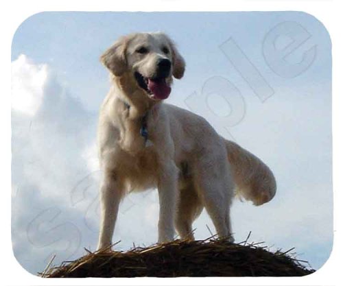 image link -  - B0012GXCGU