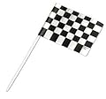 CakeDrake The CARS Nascar RACING Checkered Flag 24 CUPCAKE Topper Decoration Picks Pics B