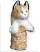 Sporting Goods : Daphne's Cats Headcover Calico Cat