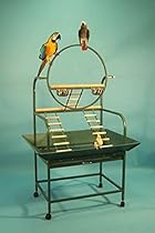 Extra Large Hangout Bird Play Stand Play Ground With Metal Seed Guard; 32 1/2