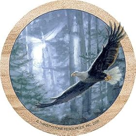 Soaring Eagle Sandstone Thirstystone Coasters by Thirstystone