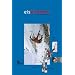 Lehrbuch Eisklettern: Eis Mixed Drytooling