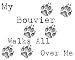 My Bouvier Walks All Over Me Apron