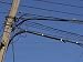 Electrical and Telecommunications Lines with a Utility Pole Photographic Poster Print...