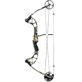 Stinger 60lb