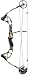 PSE Archery