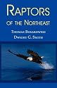 Raptors of the Northeast