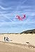 Octopus Kite by Little Rocket- Easy to Fly Kite. Perfect Kite for Kids! Childrens Kite that Flies Easily!