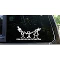 Nobody cares about your stick figure family! - funny decal / sticker