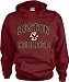 Boston College Eagles Kids/Youth Perennial Hooded Sweatshirt