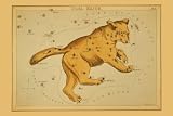 Ursa Major 20X30 Paper with Black Frame