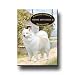 Samoyed A House Is Not A Home Fridge Magnet