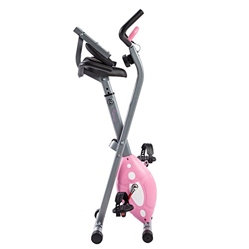 Sunny Health & Fitness Folding Recumbent Bike